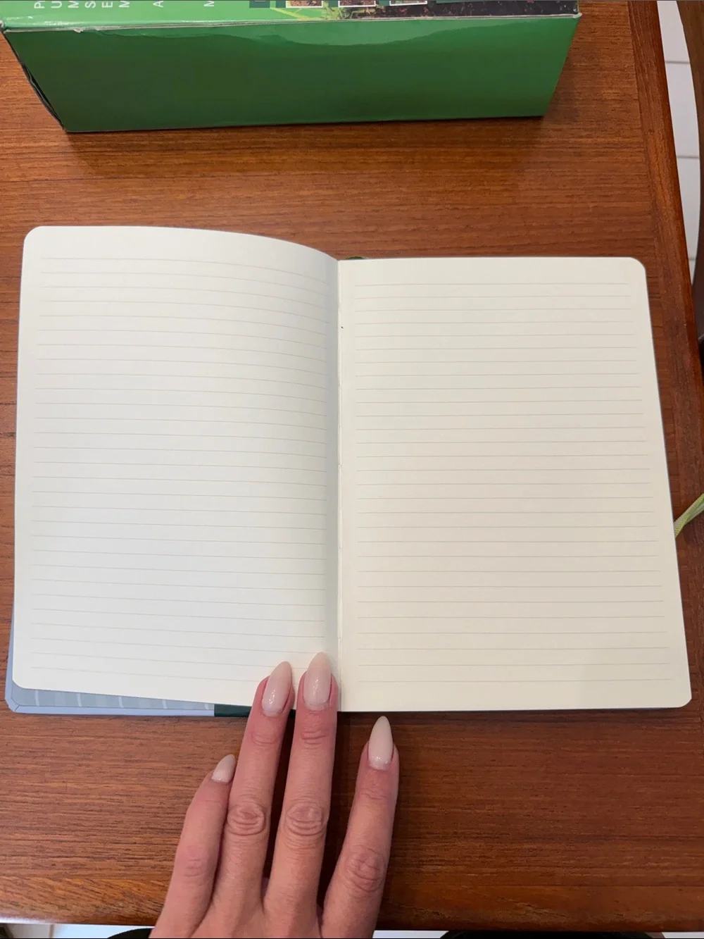 Light Blue Paws & Pocket Journal